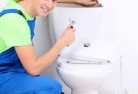 Holts Flattoilet-replacement-plumbers-2.jpg; ?>